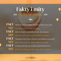 Miód spływa z metalowej łyżki, ilustrując fakty i mity na jego temat.