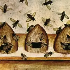 Ilustracja przedstawia pszczoły krążące wokół uli, nawiązując do dawnych przesądów o pszczołach i ich magicznym znaczeniu.