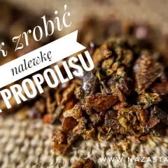 Zbliżenie na grudki propolisu, z napisem "Jak zrobić nalewkę z propolisu".