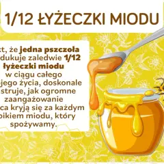 Ciekawostki o pszczołach: jedna pszczoła produkuje tylko 1/12 łyżeczki miodu w ciągu życia. To pokazuje ogrom pracy pszczół!