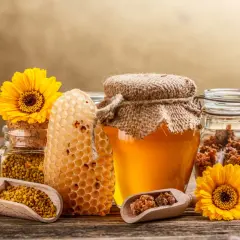 Słonecznikowy miód, plastry miodu, pyłek pszczeli i propolis. Odkryj niezwykłe miód słonecznikowy właściwości.