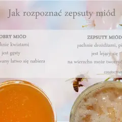 Porównanie dobrego miodu (gęsty, pachnie kwiatami) i zepsutego (lejący, pachnie drożdżami). Czy sfermentowany miód szkodzi? Sprawdź objawy.