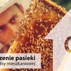 Pszczelarz w kapeluszu z siatką ogląda ramkę z pszczołami. Ubezpieczenie pasieki z polisy mieszkaniowej.