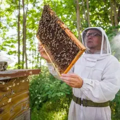 Pszczelarz w stroju ochronnym ogląda ramkę z pszczołami. Dostępne dotacje dla pszczelarzy pomagają rozwijać pasieki.