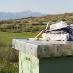 Ubranie pszczelarskie i narzędzia leżą na ulu. Czas na likwidację pasieki, ostatnie przygotowania przed zmianą.