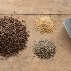 Kupa gryki, amarantusa i kminku na drewnianym stole. Zastanawiasz się, ile gryki na hektar?