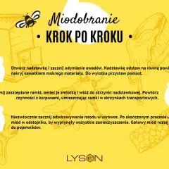 Ilustracja przedstawia kroki miodobrania, w tym otwieranie ula, przygotowanie ramek i wirowanie miodu.
