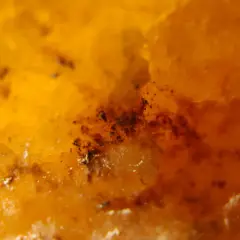Makro zbliżenie na bursztyn, ukazujące jego bursztynowy kolor i drobne inkluzje. Widać, jaki cukier jest w miodzie, który mógł być uwięziony w żywicy.