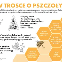 Pszczoła ziemna i jej przyjaciele w hotelu dla zapylaczy. Lasy Państwowe dbają o owady, budując dla nich domy i tworząc łąki.