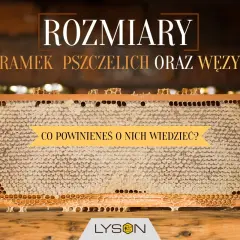 Ramki pszczele z miodem. Poznaj wymiary ramek pszczelich i dowiedz się, co powinieneś o nich wiedzieć.