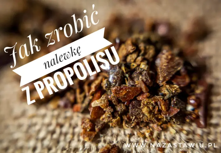 Zbliżenie na grudki propolisu, z napisem "Jak zrobić nalewkę z propolisu".