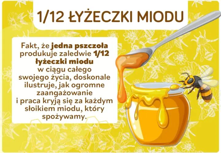 Ciekawostki o pszczołach: jedna pszczoła produkuje tylko 1/12 łyżeczki miodu w ciągu życia. To pokazuje ogrom pracy pszczół!