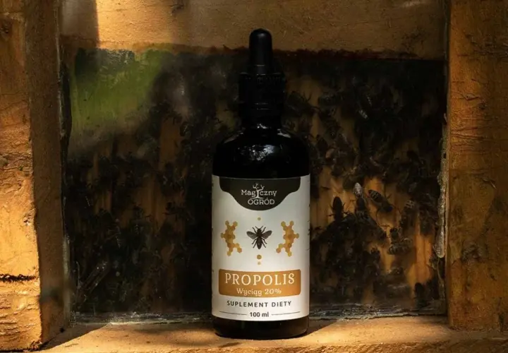 Butelka propolisu na tle ula. Zastanawiasz się, jak długo można stosować propolis? Ten naturalny produkt pszczeli jest cennym wsparciem.