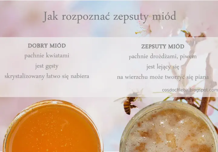 Porównanie dobrego miodu (gęsty, pachnie kwiatami) i zepsutego (lejący, pachnie drożdżami). Czy sfermentowany miód szkodzi? Sprawdź objawy.