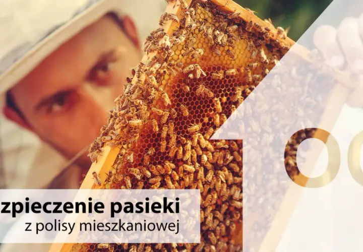 Pszczelarz w kapeluszu z siatką ogląda ramkę z pszczołami. Ubezpieczenie pasieki z polisy mieszkaniowej.