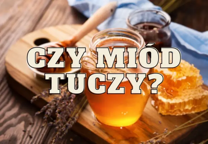 Słodki miód w słoiku i plastrze, a obok lawenda. Czy miód tuczy? Pytanie na drewnianym tle.
