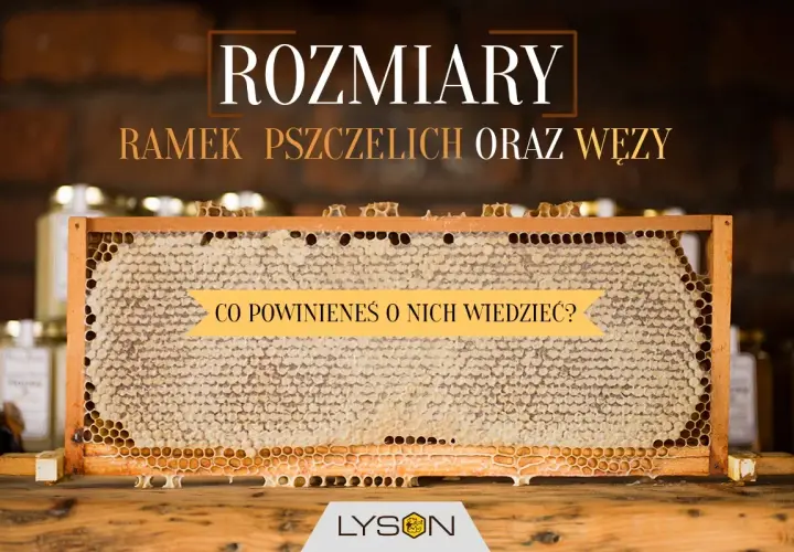 Ramki pszczele z miodem. Poznaj wymiary ramek pszczelich i dowiedz się, co powinieneś o nich wiedzieć.