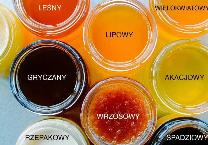 Siedem słoików z różnymi rodzajami miodu: leśny, gryczany, lipowy, wrzosowy, wielokwiatowy, akacjowy, spadziowy.