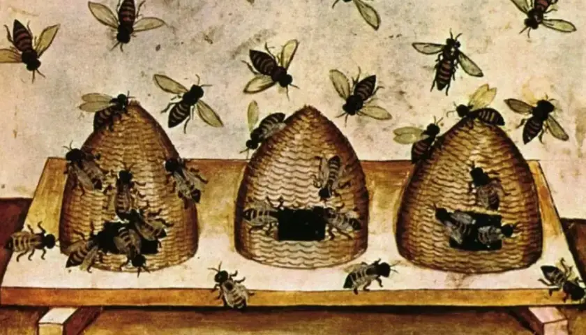 Ilustracja przedstawia pszczoły krążące wokół uli, nawiązując do dawnych przesądów o pszczołach i ich magicznym znaczeniu.
