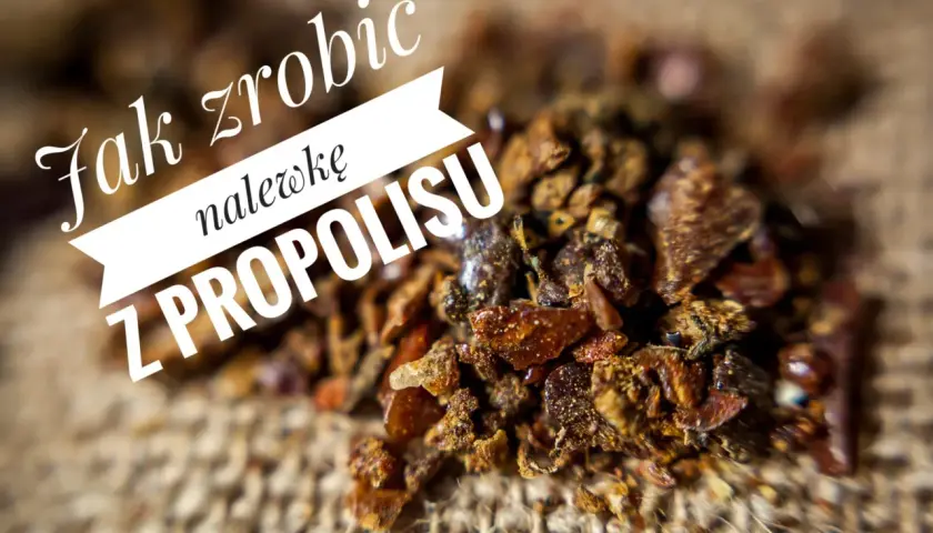 Zbliżenie na grudki propolisu, z napisem "Jak zrobić nalewkę z propolisu".