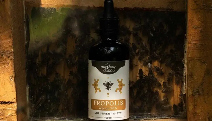 Butelka propolisu na tle ula. Zastanawiasz się, jak długo można stosować propolis? Ten naturalny produkt pszczeli jest cennym wsparciem.