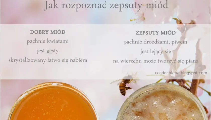 Porównanie dobrego miodu (gęsty, pachnie kwiatami) i zepsutego (lejący, pachnie drożdżami). Czy sfermentowany miód szkodzi? Sprawdź objawy.