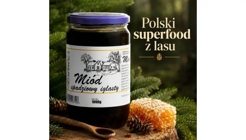 Słoik ciemnego miodu spadziowego iglastego, polskiego superfood z lasu, obok plastra miodu i sosnowych szyszek.