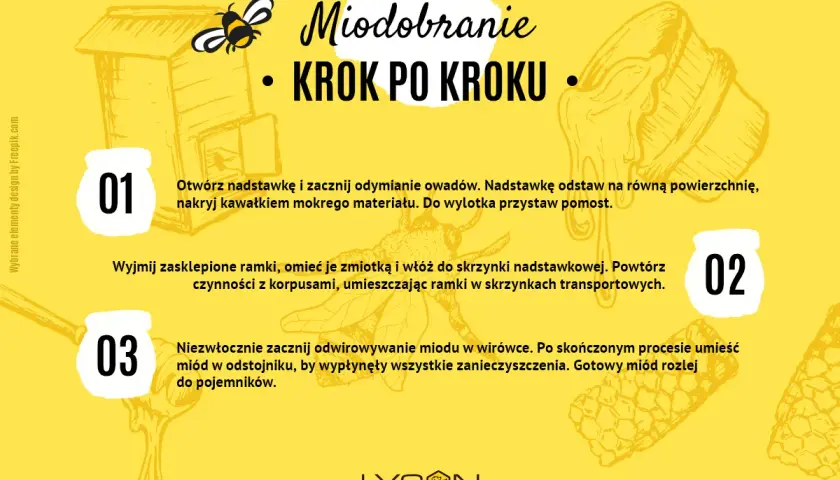 Ilustracja przedstawia kroki miodobrania, w tym otwieranie ula, przygotowanie ramek i wirowanie miodu.