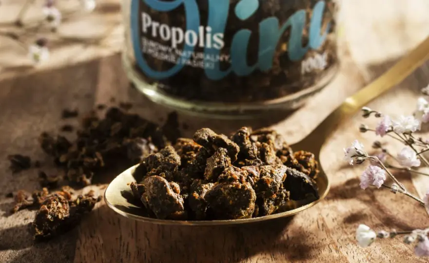 Propolis na co pomaga? Zastosowanie, formy i ryzyko