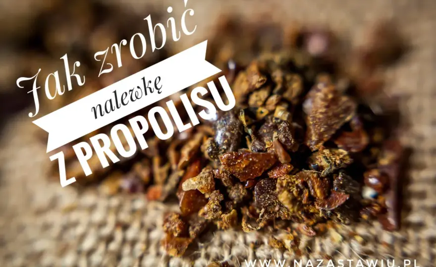 Nalewka z propolisu - jak zrobić i stosować bez błędów