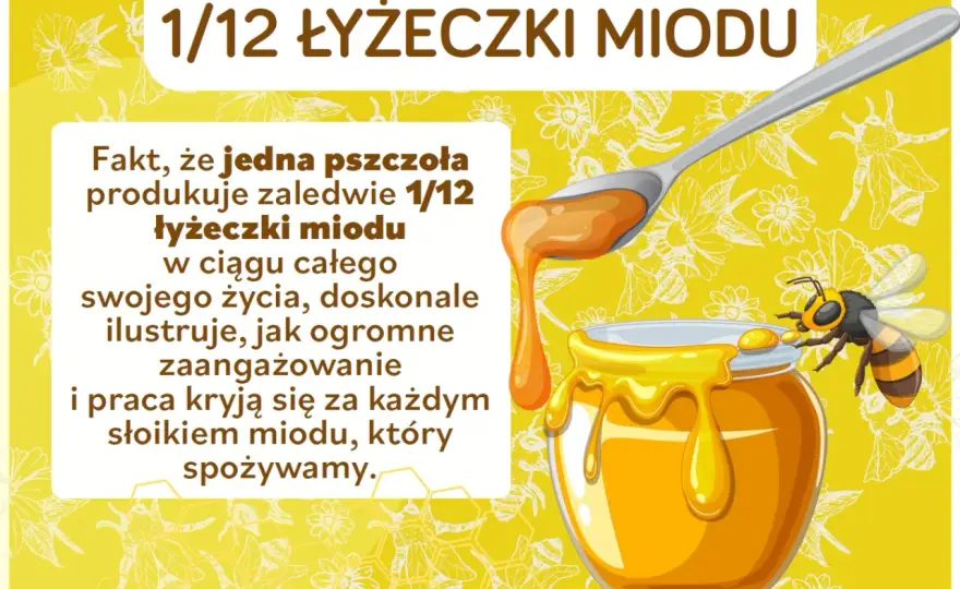 Ciekawostki o pszczołach, które pokazują ich niezwykły świat