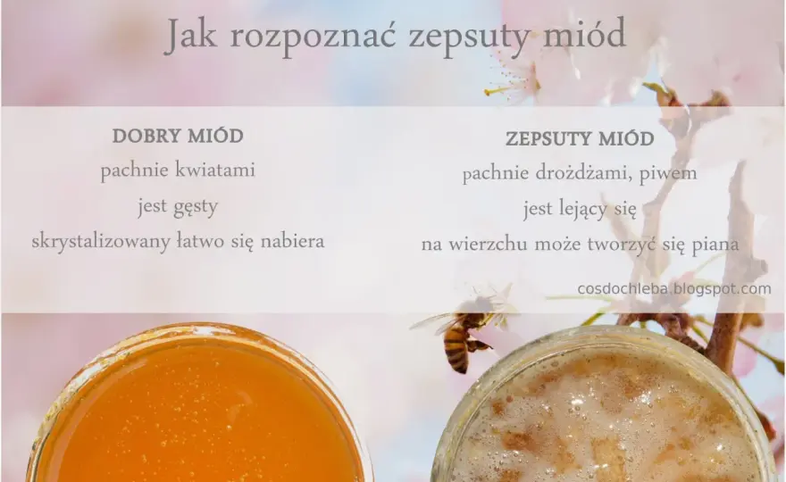 Sfermentowany miód - kiedy szkodzi i jak go rozpoznać?