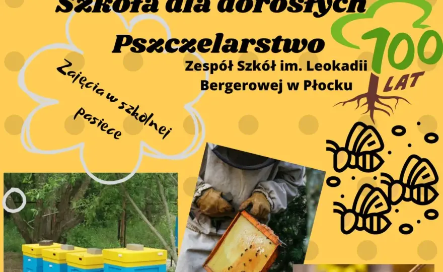 Szkoła pszczelarska - jak wybrać naukę, która daje praktykę