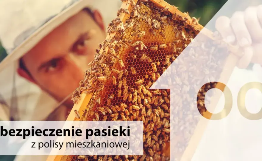 Ubezpieczenie pasieki - jak wybrać ochronę bez przepłacania?