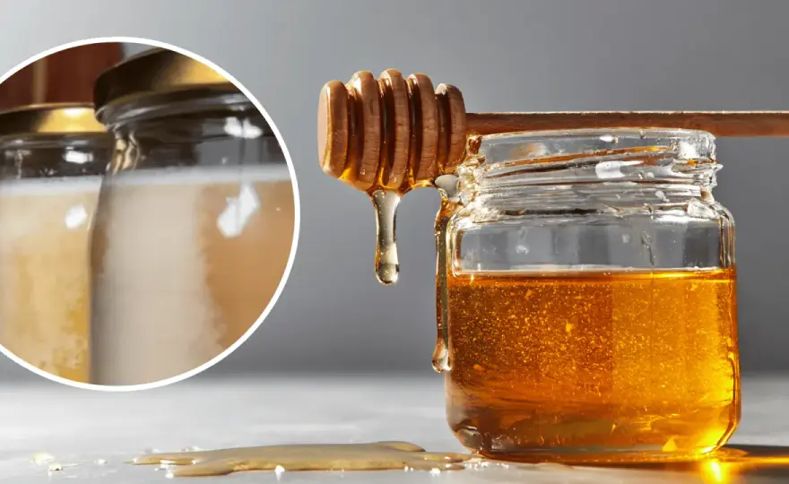Biały osad na miodzie - naturalna krystalizacja czy fermentacja?