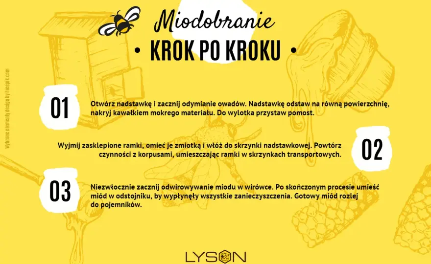 Wirowanie miodu bez uszkodzeń plastrów - praktyczny poradnik