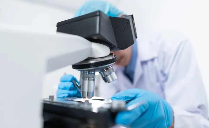 Badanie miodu - co sprawdzi laboratorium i ile to kosztuje?