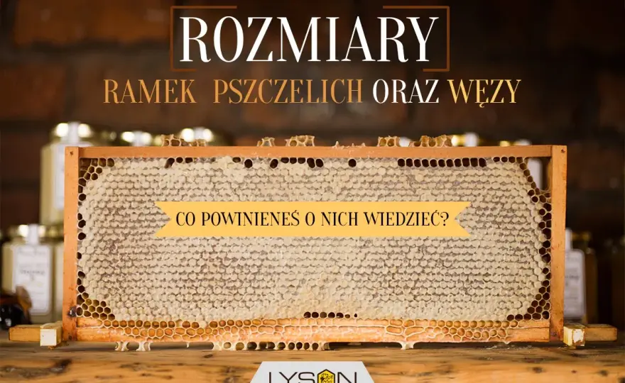 Wymiary ramek pszczelich - jak dobrać właściwy standard?