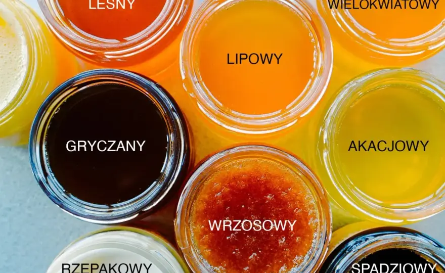 Miody nektarowe, spadziowe i mieszane. Jak wybrać dobry miód?