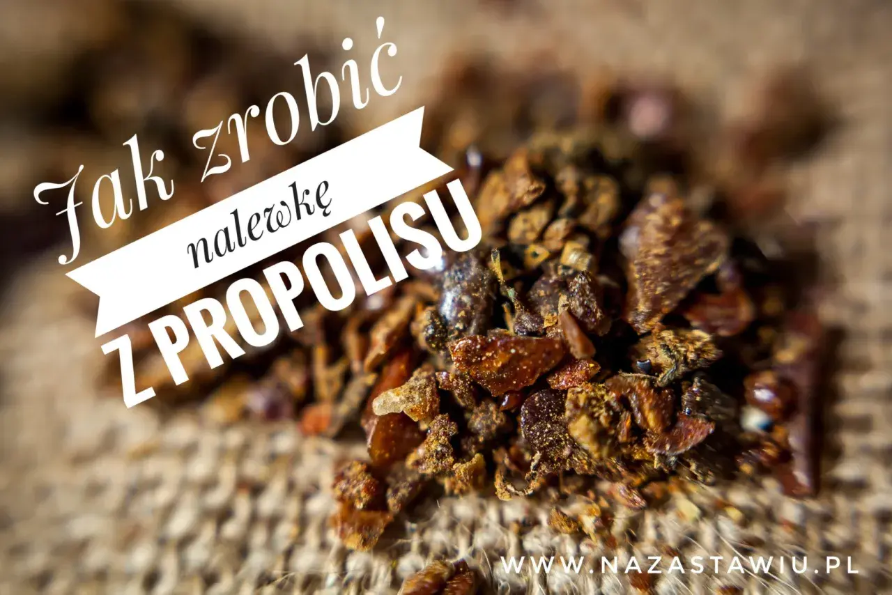 Zbliżenie na grudki propolisu, z napisem "Jak zrobić nalewkę z propolisu".
