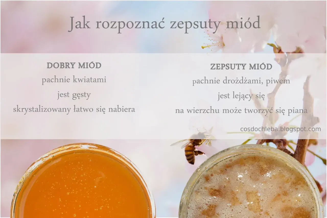 Porównanie dobrego miodu (gęsty, pachnie kwiatami) i zepsutego (lejący, pachnie drożdżami). Czy sfermentowany miód szkodzi? Sprawdź objawy.