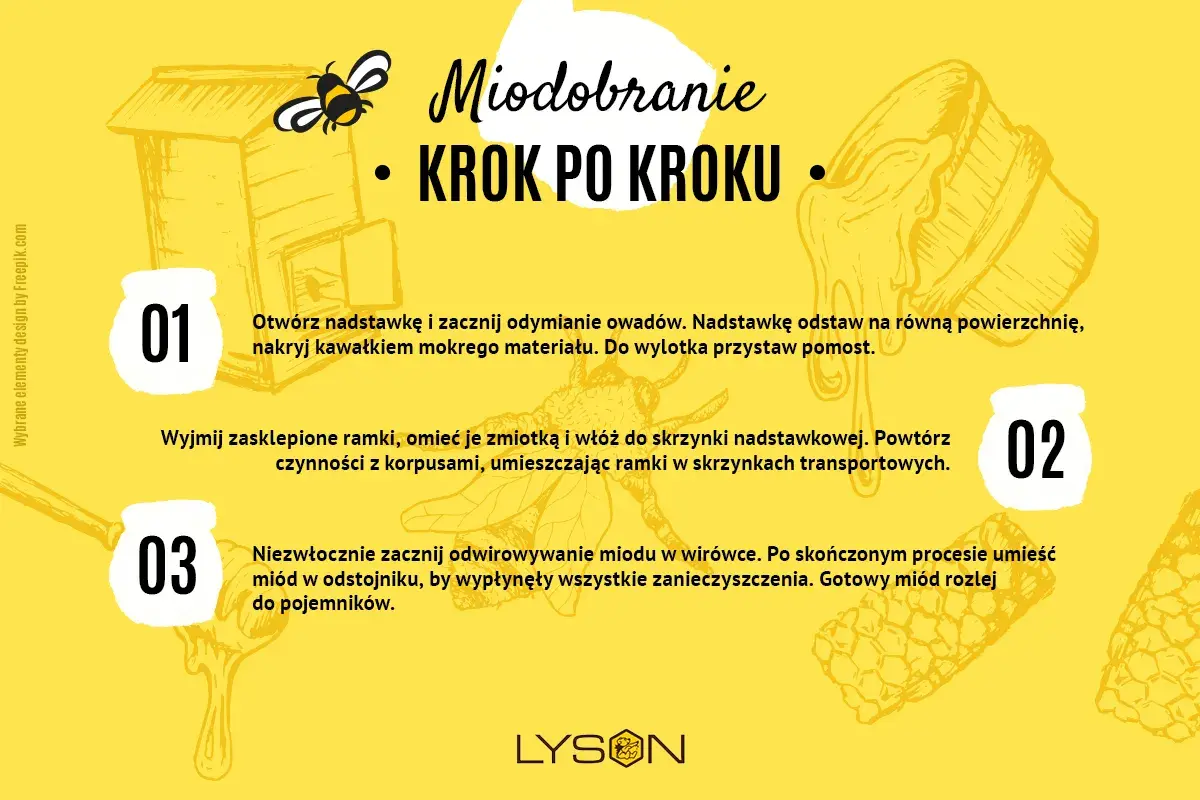 Ilustracja przedstawia kroki miodobrania, w tym otwieranie ula, przygotowanie ramek i wirowanie miodu.