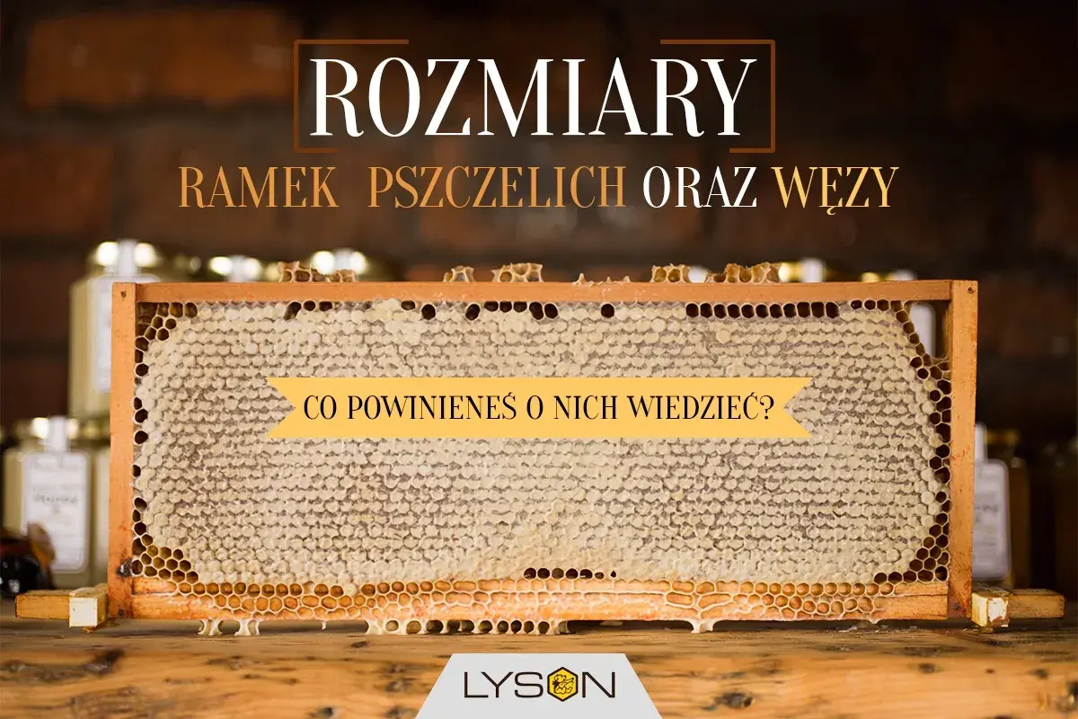 Ramki pszczele z miodem. Poznaj wymiary ramek pszczelich i dowiedz się, co powinieneś o nich wiedzieć.