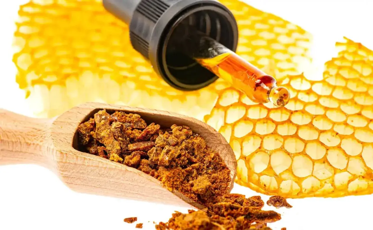 Propolis w kroplach i pył pszczeli na plastrze miodu. Dowiedz się, jak stosować propolis na gronkowca.
