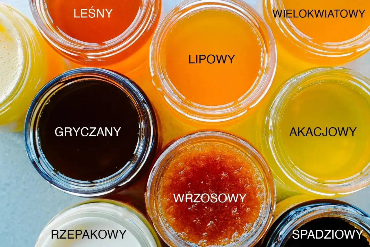 Siedem słoiczk&oacute;w miodu: leśny, gryczany, lipowy, wielokwiatowy, akacjowy, wrzosowy, spadziowy. Jaki mi&oacute;d do piernika?